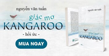 Giấc Mơ Kangaroo