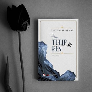 Hoa Tulip Đen