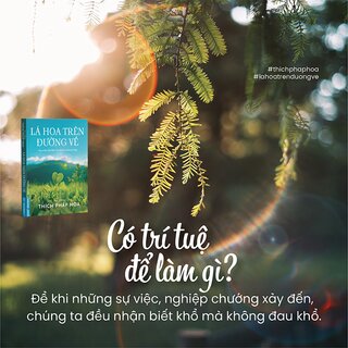 Lá Hoa Trên Đường Về