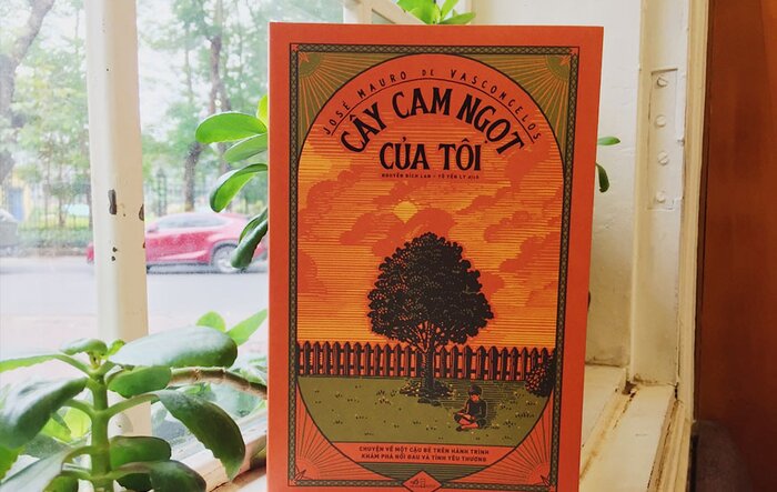 Cây Cam Ngọt Của Tôi: Bài học lớn từ cậu bé nghèo