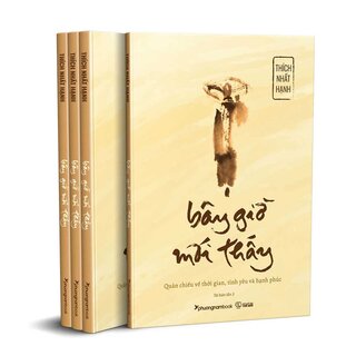 Bây Giờ Mới Thấy - Thích Nhất Hạnh
