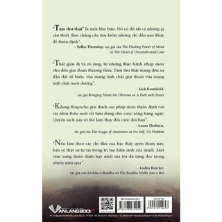 Tâm Thư Thái - 7 Bước Đi Sâu Vào Thiền Định - Dza Kilung Rinpoche