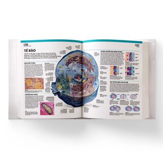 Atlas Giải Phẫu Cơ Thể Người (Bìa Cứng)