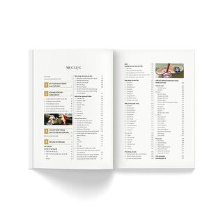 Kỹ Thuật Vẽ Sơn Dầu - Nguyễn Đình Đăng