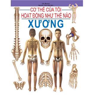 Cơ Thể Của Tôi Hoạt Động Như Thế Nào - Xương - 08