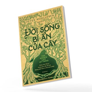 Đời Sống Bí Ẩn Của Cây
