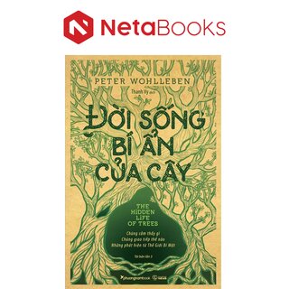 Đời Sống Bí Ẩn Của Cây