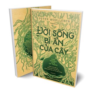 Đời Sống Bí Ẩn Của Cây