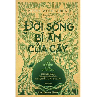 Đời Sống Bí Ẩn Của Cây