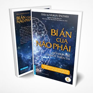 Bí Ẩn Của Não Phải