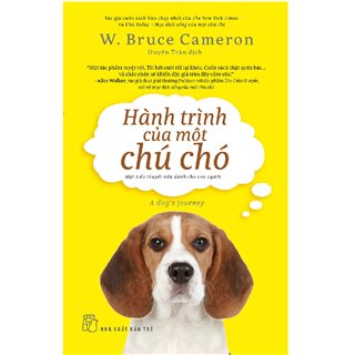 Hành Trình Của Một Chú Chó