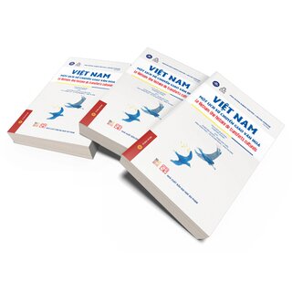 Việt Nam Một Lịch Sử Chuyển Giao Văn Hóa