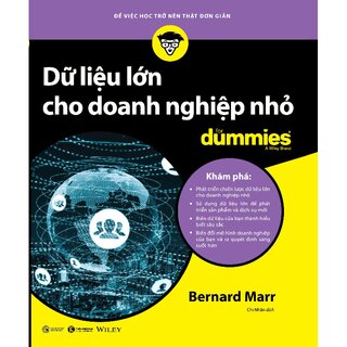 Dữ Liệu Lớn Cho Doanh Nghiệp Nhỏ For Dummies