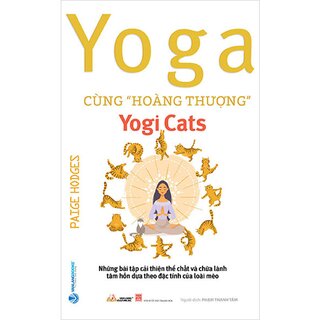 Yoga Cùng Hoàng Thượng - Yogi Cats