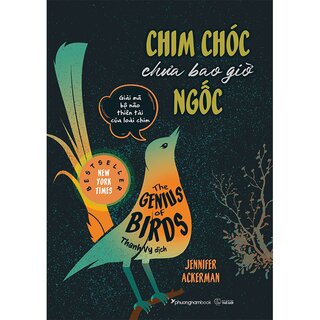 Chim Chóc Chưa Bao Giờ Ngốc