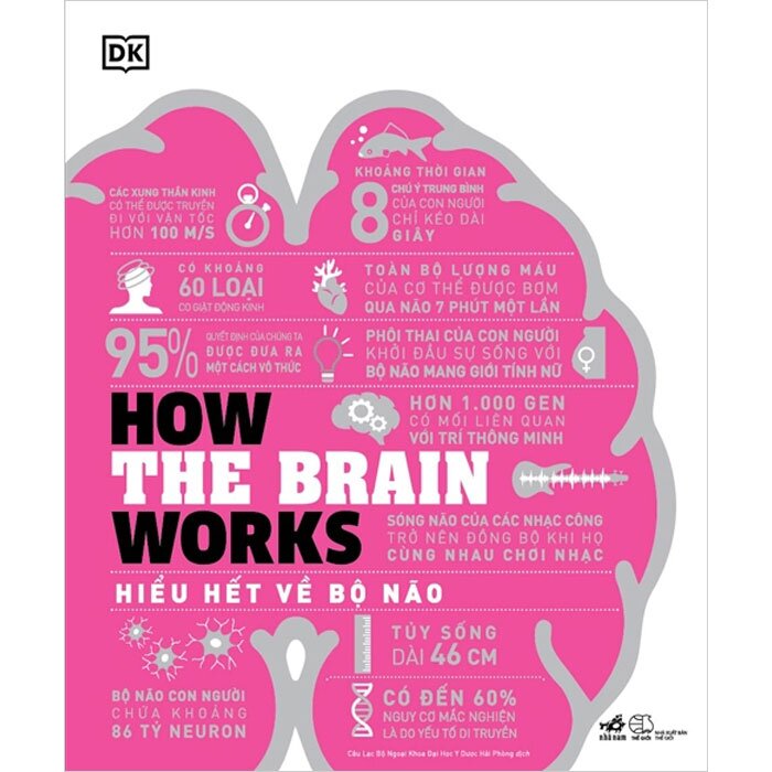 How The Brain Works - Hiểu Hết Về Bộ Não