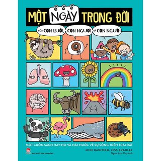 Một Ngày Trong Đời Của Con Lười, Con Ngươi Và Con Người