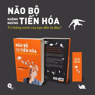 Não Bộ Không Ngừng Tiến Hóa - Trí Thông Minh Của Bạn Đến Từ Đâu?