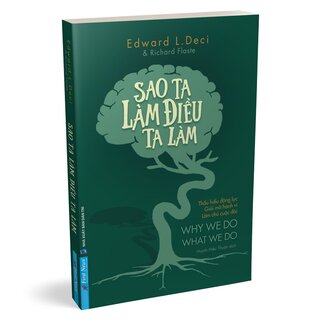 Sao Ta Làm Điều Ta Làm