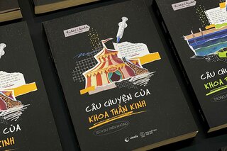 Câu Chuyện Của Khoa Thần Kinh - Xích Đu Trên Không