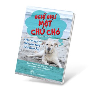 Nghĩ Như Một Chú Chó