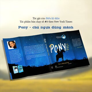 Pony - Chú Ngựa Dũng Mãnh