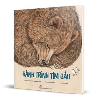 Hành Trình Tìm Gấu (Bìa Cứng)