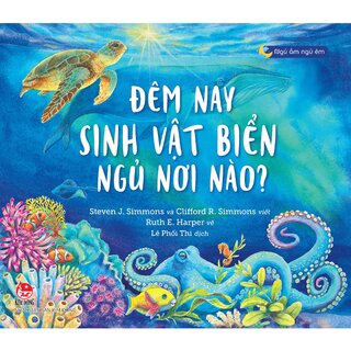 Ngủ Ấm Ngủ Êm - Đêm Nay Sinh Vật Biển Ngủ Nơi Nào?