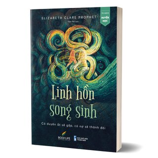 Linh Hồn Song Sinh - Có Duyên Ắt Sẽ Gặp, Có Nợ Sẽ Thành Đôi