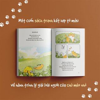 Qua Lăng Kính Của Một Chú Mèo