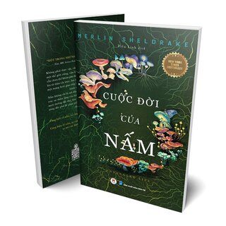 Cuộc Đời Của Nấm