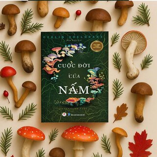 Cuộc Đời Của Nấm