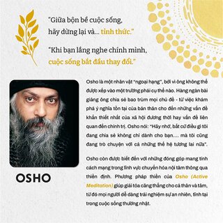 Tỉnh Thức - Bí Quyết Cân Bằng Cuộc Sống