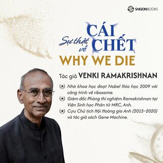 Sự Thật Về Cái Chết