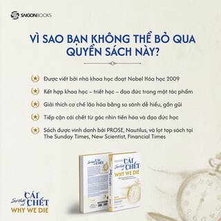 Sự Thật Về Cái Chết