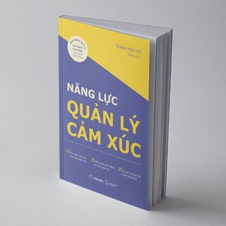 Năng Lực Quản Lý Cảm Xúc