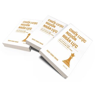 Chiến Lược Nguồn Nhân Lực - Lợi Thế Phát Triển Doanh Nghiệp Bền Vững - Đặng Thành Trung