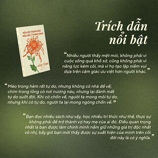 Nửa Đời Tranh Đấu - Nửa Đời Thong Dong - Vãn Tình