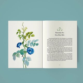 Quyền Năng Của Hoa - Lời Thầm Thì Cảm Xúc Từ Thiên Nhiên - Lily Of The Valley, Huyền Anh (hajazana)