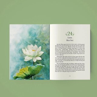 Quyền Năng Của Hoa - Lời Thầm Thì Cảm Xúc Từ Thiên Nhiên - Lily Of The Valley, Huyền Anh (hajazana)