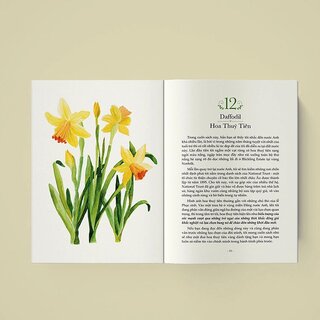 Quyền Năng Của Hoa - Lời Thầm Thì Cảm Xúc Từ Thiên Nhiên - Lily Of The Valley, Huyền Anh (hajazana)
