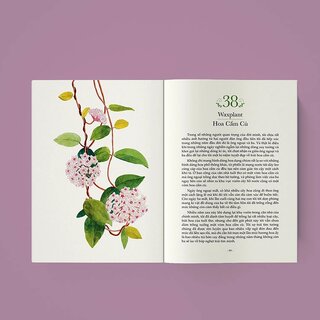 Quyền Năng Của Hoa - Lời Thầm Thì Cảm Xúc Từ Thiên Nhiên - Lily Of The Valley, Huyền Anh (hajazana)