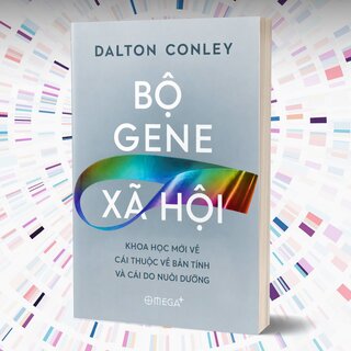 Bộ Gene Xã Hội - Khoa Học Mới Về Cái Thuộc Về Bản Tính Và Cái Do Nuôi Dưỡng - Dalton Conley