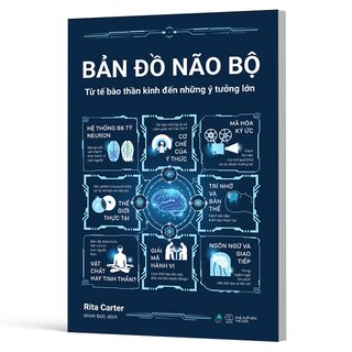 Bản Đồ Não Bộ - Từ Tế Bào Thần Kinh Đến Những Ý Tưởng Lớn - Rita Carter