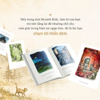 Chú Mèo Dạy Thiền - James Norbury
