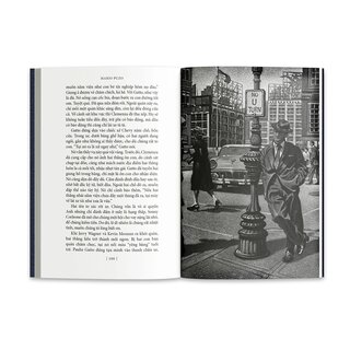 Bố Già - Mario Puzo