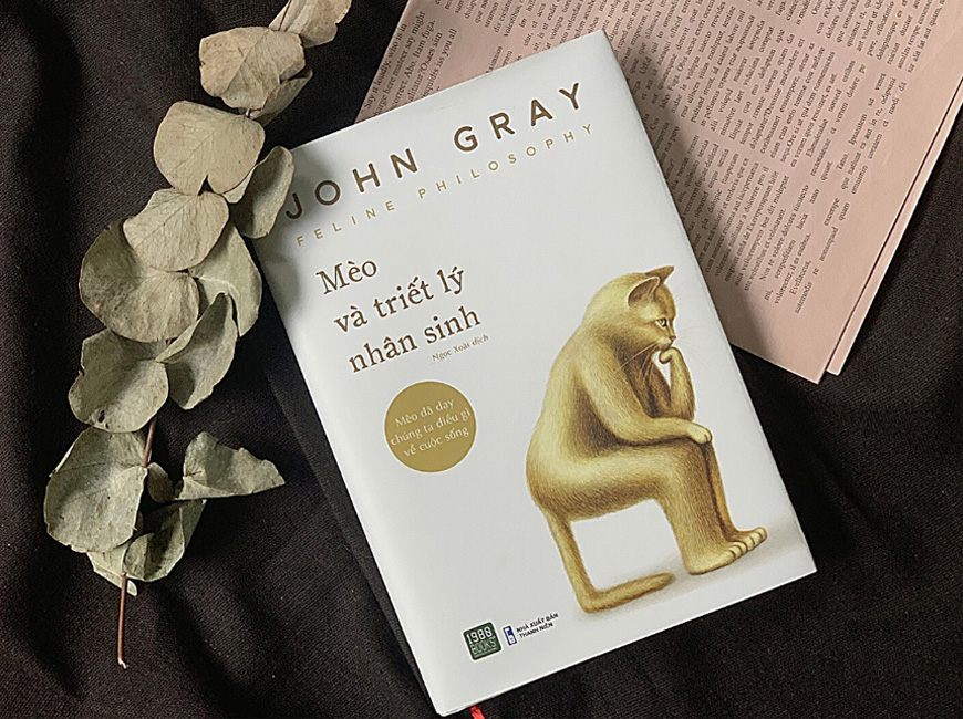 Sách "Mèo Và Triết Lý Nhân Sinh" của tác giả John Gray