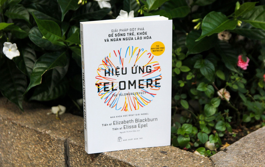 Hiệu Ứng Telomere - Giải Pháp Đột Phá Để Sống Trẻ, Khỏe Và Ngăn Ngừa Lão Hóa - Elizabeth Blackburn, Elissa Epel - 2