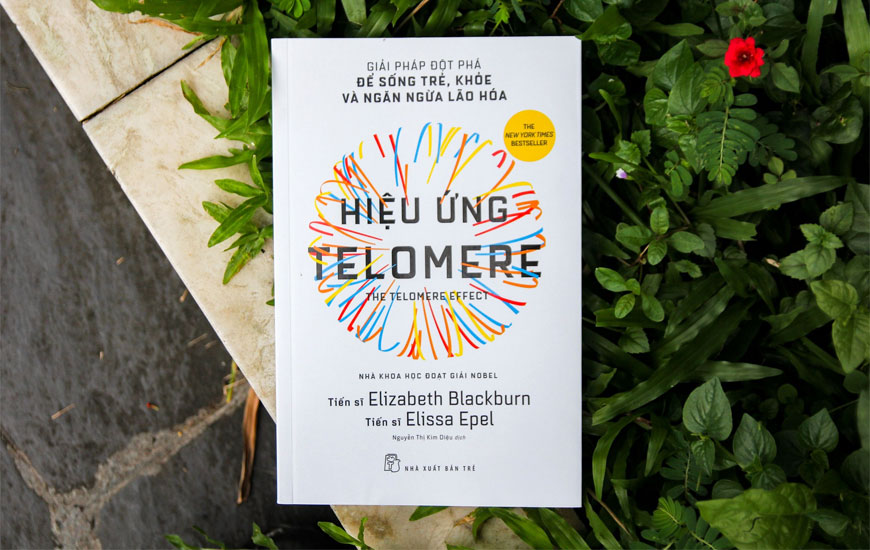 Hiệu Ứng Telomere - Giải Pháp Đột Phá Để Sống Trẻ, Khỏe Và Ngăn Ngừa Lão Hóa - Elizabeth Blackburn, Elissa Epel