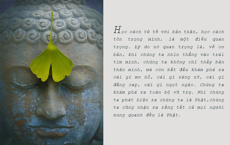 Sách "Khi Mọi Thứ Sụp Đổ - Lời Khuyên Chân Thành Trong Những Thời Điểm Khó Khăn". Tác giả Pema Chödrön - 3